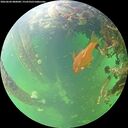 ./images/calvert/underwater/20260604/underwater20260604_080001M.jpg