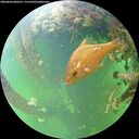 ./images/calvert/underwater/20260604/underwater20260604_082501M.jpg
