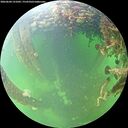 ./images/calvert/underwater/20260604/underwater20260604_121002M.jpg