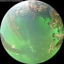 ./images/calvert/underwater/20260604/underwater20260604_121501M.jpg