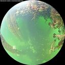 ./images/calvert/underwater/20260604/underwater20260604_122001M.jpg