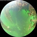 ./images/calvert/underwater/20260604/underwater20260604_122501M.jpg