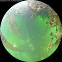 ./images/calvert/underwater/20260604/underwater20260604_123501M.jpg