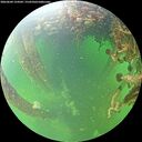 ./images/calvert/underwater/20260604/underwater20260604_124502M.jpg