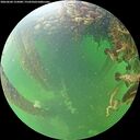 ./images/calvert/underwater/20260604/underwater20260604_125001M.jpg
