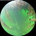 ./images/calvert/underwater/20260604/underwater20260604_131001M.jpg
