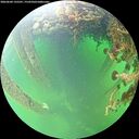 ./images/calvert/underwater/20260604/underwater20260604_135501M.jpg