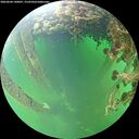 ./images/calvert/underwater/20260604/underwater20260604_140001M.jpg