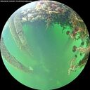 ./images/calvert/underwater/20260604/underwater20260604_141002M.jpg