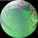 ./images/calvert/underwater/20260604/underwater20260604_141501M.jpg