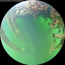 ./images/calvert/underwater/20260604/underwater20260604_143002M.jpg