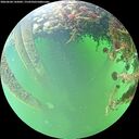 ./images/calvert/underwater/20260604/underwater20260604_145001M.jpg