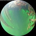 ./images/calvert/underwater/20260604/underwater20260604_153501M.jpg