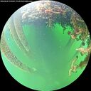 ./images/calvert/underwater/20260604/underwater20260604_155001M.jpg