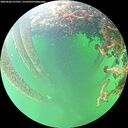 ./images/calvert/underwater/20260604/underwater20260604_155501M.jpg