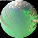 ./images/calvert/underwater/20260604/underwater20260604_164501M.jpg