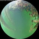 ./images/calvert/underwater/20260604/underwater20260604_174001M.jpg