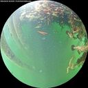 ./images/calvert/underwater/20260604/underwater20260604_181001M.jpg