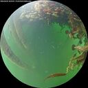 ./images/calvert/underwater/20260604/underwater20260604_183501M.jpg