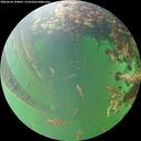 ./images/calvert/underwater/20260604/underwater20260604_184001M.jpg