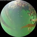 ./images/calvert/underwater/20260604/underwater20260604_184501M.jpg