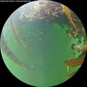 ./images/calvert/underwater/20260604/underwater20260604_185001M.jpg