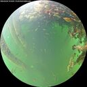 ./images/calvert/underwater/20260604/underwater20260604_191001M.jpg