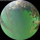 ./images/calvert/underwater/20260604/underwater20260604_194001M.jpg