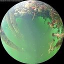./images/calvert/underwater/20260604/underwater20260604_195501M.jpg