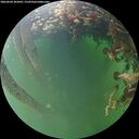 ./images/calvert/underwater/20260604/underwater20260604_202002M.jpg