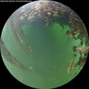 ./images/calvert/underwater/20260604/underwater20260604_202501M.jpg