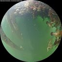 ./images/calvert/underwater/20260604/underwater20260604_205002M.jpg