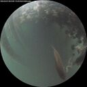 ./images/calvert/underwater/20260605/underwater20260605_045501M.jpg