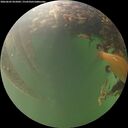 ./images/calvert/underwater/20260605/underwater20260605_055001M.jpg