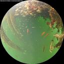 ./images/calvert/underwater/20260605/underwater20260605_070002M.jpg