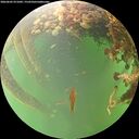 ./images/calvert/underwater/20260605/underwater20260605_071002M.jpg