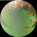 ./images/calvert/underwater/20260605/underwater20260605_071501M.jpg