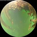 ./images/calvert/underwater/20260605/underwater20260605_072001M.jpg