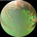 ./images/calvert/underwater/20260605/underwater20260605_072501M.jpg