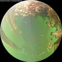 ./images/calvert/underwater/20260605/underwater20260605_074001M.jpg