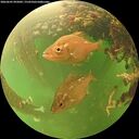 ./images/calvert/underwater/20260605/underwater20260605_095001M.jpg