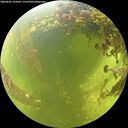 ./images/calvert/underwater/20260605/underwater20260605_124501M.jpg