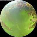 ./images/calvert/underwater/20260605/underwater20260605_131501M.jpg