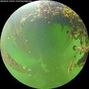 ./images/calvert/underwater/20260605/underwater20260605_133501M.jpg