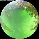 ./images/calvert/underwater/20260605/underwater20260605_140001M.jpg