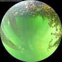 ./images/calvert/underwater/20260605/underwater20260605_141502M.jpg