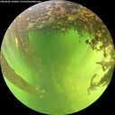 ./images/calvert/underwater/20260605/underwater20260605_142001M.jpg