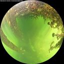 ./images/calvert/underwater/20260605/underwater20260605_142501M.jpg
