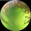 ./images/calvert/underwater/20260605/underwater20260605_143001M.jpg