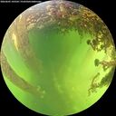 ./images/calvert/underwater/20260605/underwater20260605_143501M.jpg